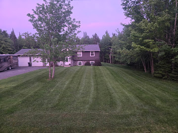 Freshly cut lawn